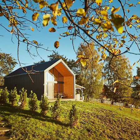 Scandinave Chalet Bran Зэрнешти Экстерьер фото