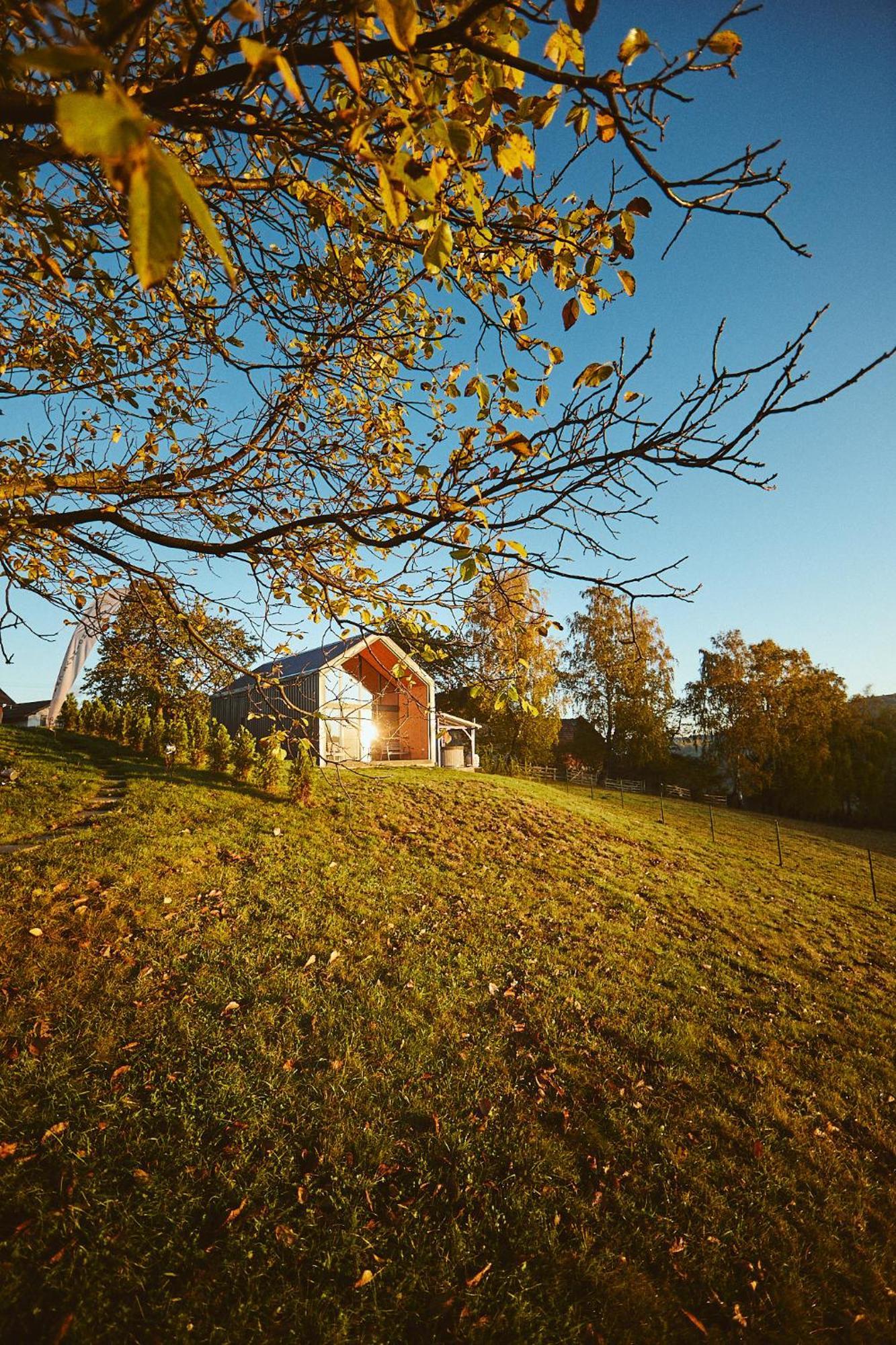 Scandinave Chalet Bran Зэрнешти Экстерьер фото