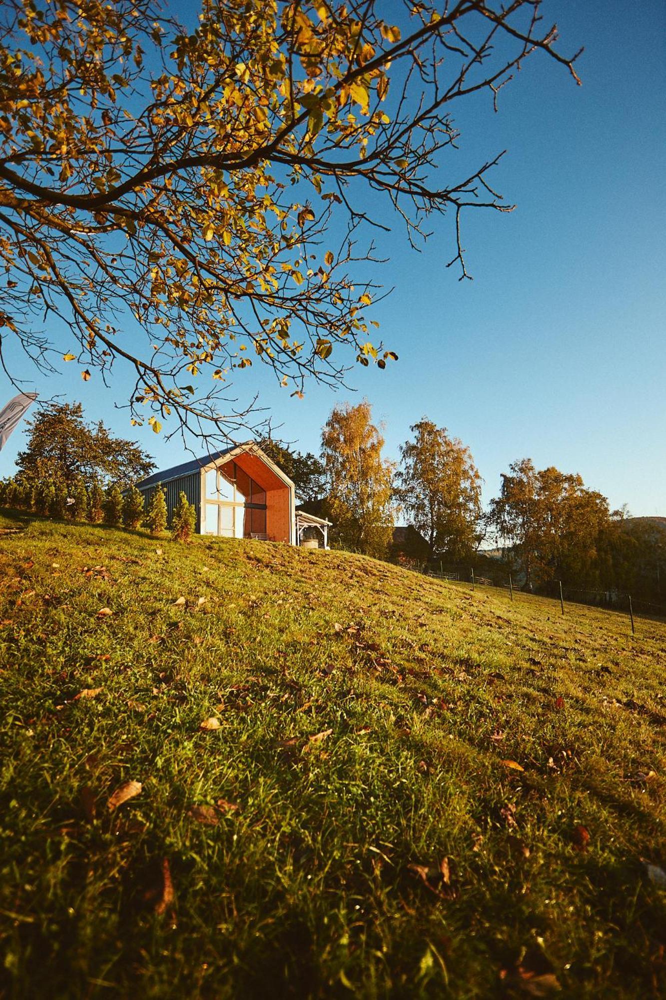 Scandinave Chalet Bran Зэрнешти Экстерьер фото