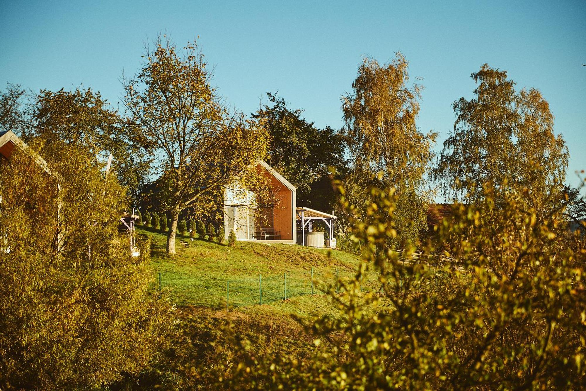 Scandinave Chalet Bran Зэрнешти Экстерьер фото