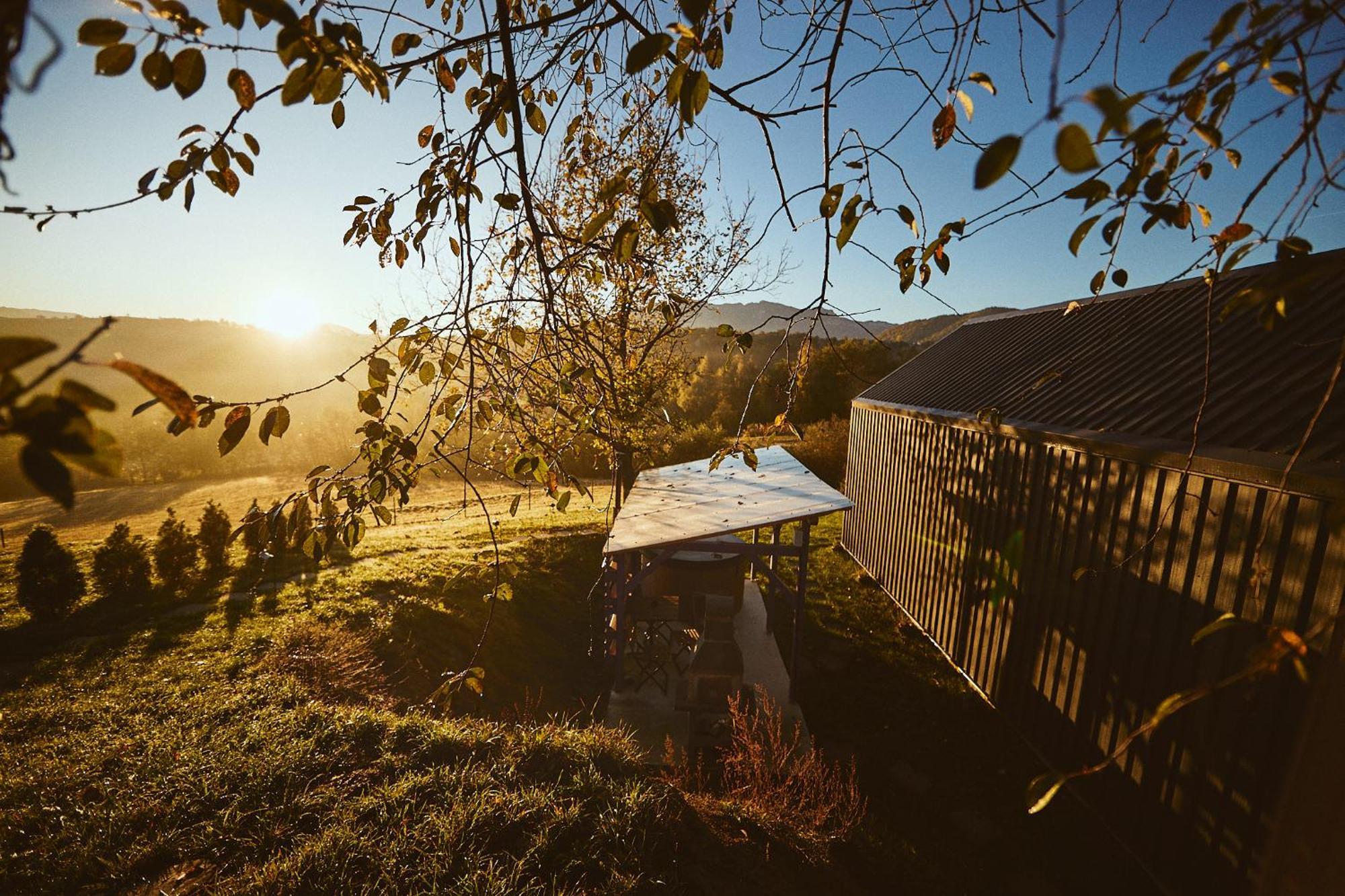 Scandinave Chalet Bran Зэрнешти Экстерьер фото