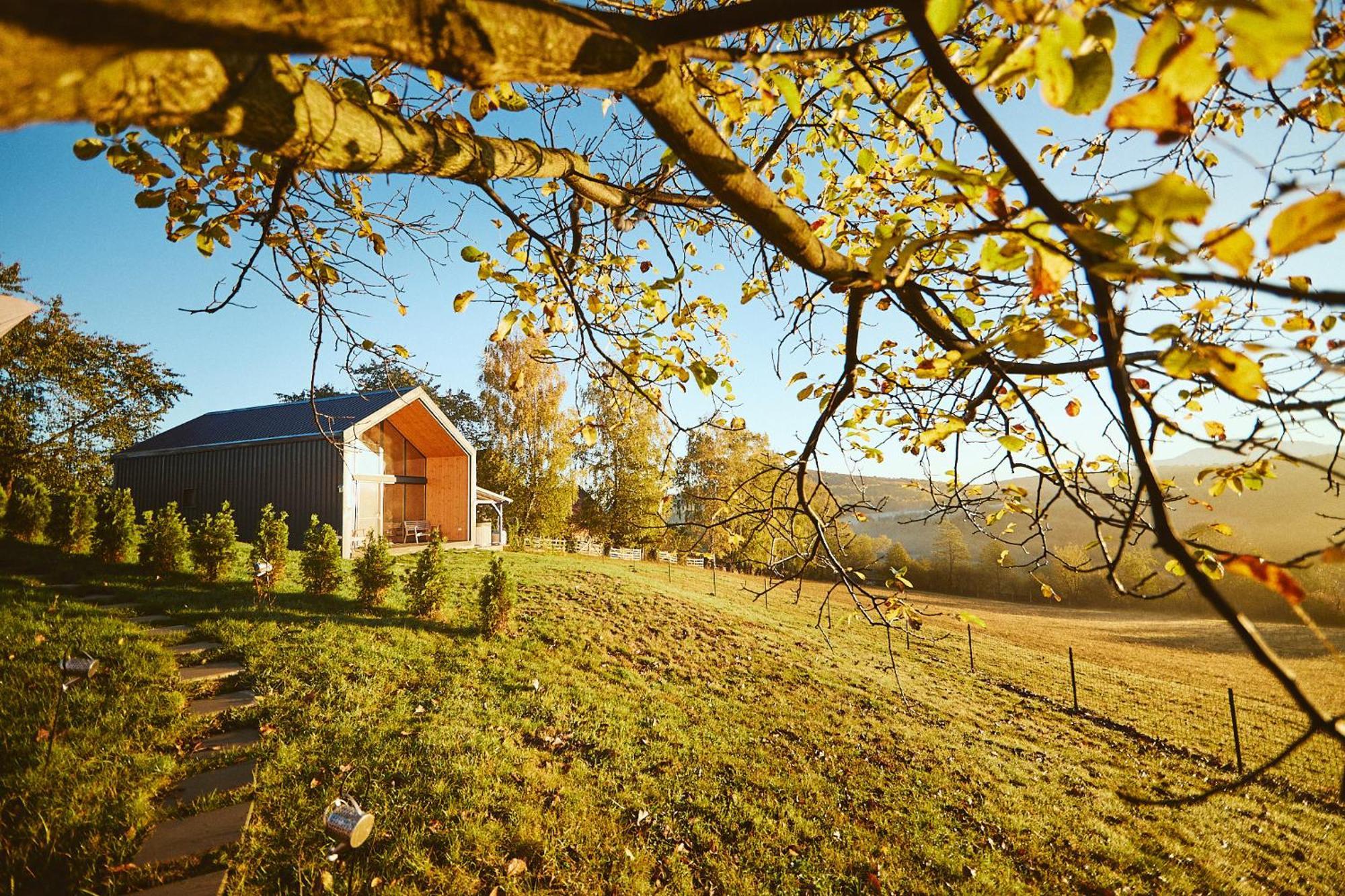 Scandinave Chalet Bran Зэрнешти Экстерьер фото
