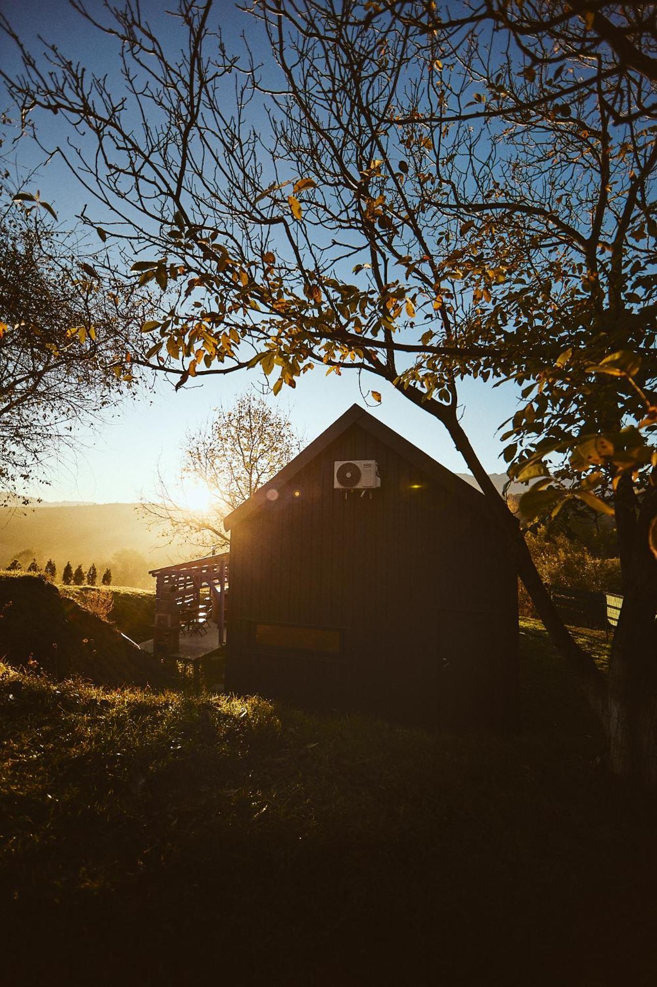 Scandinave Chalet Bran Зэрнешти Экстерьер фото